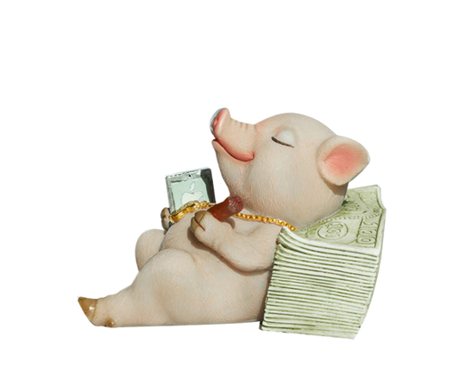 Lovely Moving Brick Reading Book Pig Ornament Home Desktop Decor Resin Craft-5#