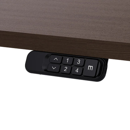 Lifespan Fitness ErgoDesk Electric Standing Desk 160cm (Walnut/Black)