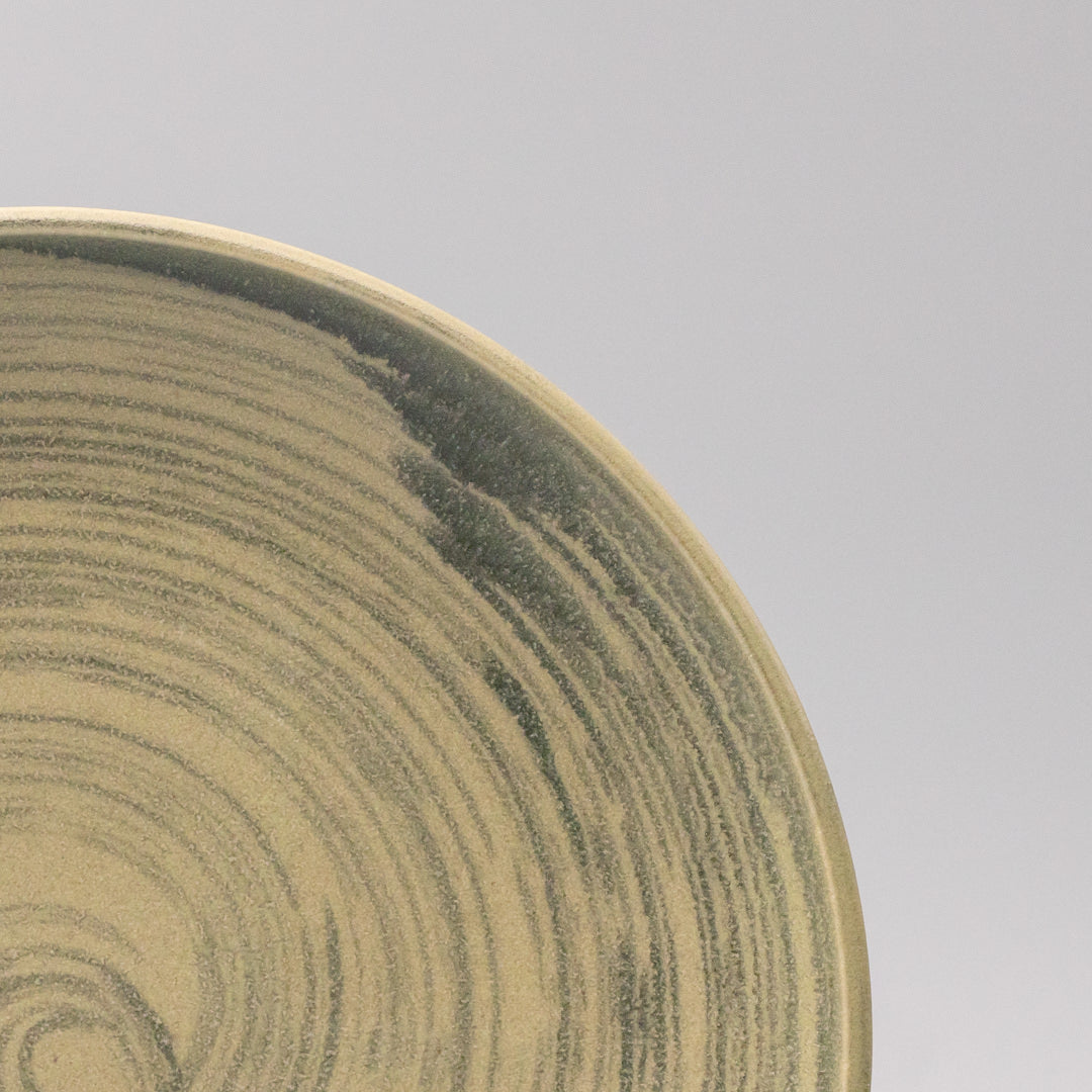 Dinner Plate 26cm Washed Fern